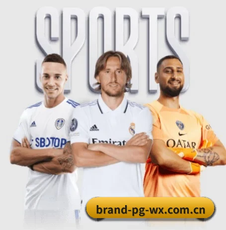 五大服务分区,信息按项目分类(PG)